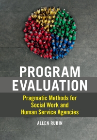 Program Evaluation Ebook